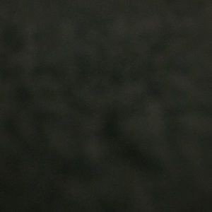 Meet your Posher, Daisy